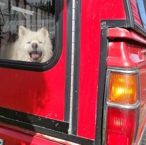 Meet your Posher, Gail